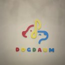 도그다움 이미지