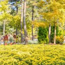 국화어린이공원 이미지