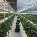 경주농장 이미지