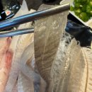 계양3동 | [인천 맛집] 계양구 횟집 연안활어해물포차 후기｜도다리회부터 매운탕까지