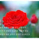 육하원칙 이미지
