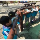 동진유치원 이미지