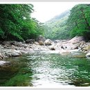 지리산당나귀펜션