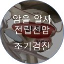 센신코리아 이미지