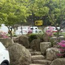DMZ 마루 캠핑 | 서울 근교 글램핑장 마루 글램핑 카라반 바베큐