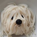 별국수 - 서귀포시 | 별국수