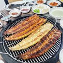 풍천복장어 이미지