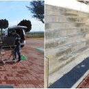 팔금초등학교 이미지