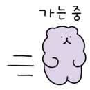 주식회사 라쿤