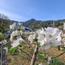 선학농장 이미지