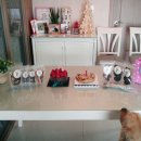 도그앤츄 이미지