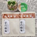 먹태나라 이미지