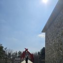 화가플라워갤러리 | 반, 친구들과 다녀온 뮤지엄 산(SAN) 완벽 코스! (도슨트 시간표, 안토니 곰리 상설관 'GROUND', 후기)
