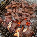 고기팩트