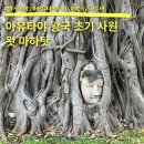 태국여행 아유타야 왓 마하탓 근교 반일투어 예약 입장료 복장 후기