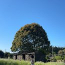 서광리-12 이미지