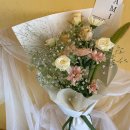 아미플레르 이미지