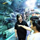 잠실종합사회복지관 이미지