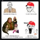 도람도람 이미지