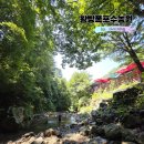 왕방폭포수농원 | 동두천 가볼만한곳! 왕방계곡 백숙 맛집인 왕방폭포수농원 (서울근교 계곡)