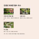 허브힐링가든 | 서울 근교 힐링여행, 6월엔 일영 허브랜드!