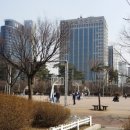 여의도공원인라인대여소 이미지