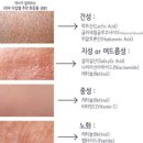 해라 이미지