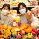 과일충전소 뉴시스