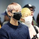 디딤발