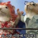 반들
