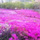 삼경요양병원 이미지