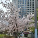 참(charm)행정사 사무소 이미지