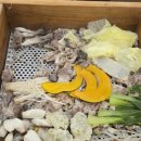 오샤브 | 편편집 길동점 편백찜 월남쌈 샤브샤브를 무하느오 즐길 수 있는 맛집 후기