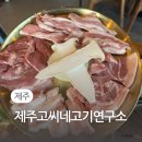 고기취향 | 제주 노형 흑돼지 맛집 제주고씨네고기연구소 취향 저격 특수부위세트 후기