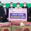 장미유통 이미지