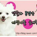 까꿍이 하우스 이미지