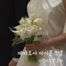 (주)두영 | 두영웨딩 #6 :: 메아로사 아이폰스냅, 아만티호텔 홍대 후기! (프리미엄/대표 작가님)