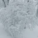 장곡초교 이미지