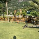 송아목장 이미지