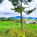 드래곤수 더 여수 이미지