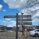 대숲여행 | 경남 울산여행 갈만한곳 태화강 국가정원 십리대숲 다녀온 후기