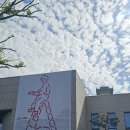 청화카드라이브 | 2025. 10. 17. 금. 2025 서울 퍼블리셔스 테이블 in 국립중앙도서관