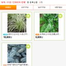 케이조경 이미지