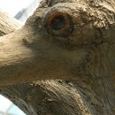 오리나무약수터 이미지