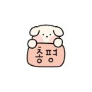 포퍼피(FOR PUPPY) 이미지