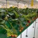 스마트2농장 이미지