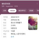 한강비디오 | 🧐노벨문학상 수상작 🫑🥒🥬&#34;채식주의자&#34; (한강작가)내용, 정보 및 독후감 완전 상세후기