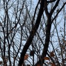 통진공중화장실 이미지