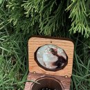 아마레펫 이미지