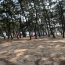청솔식자재마트